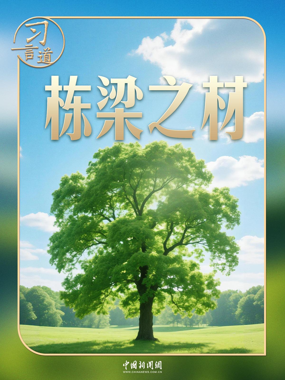 ff94d183a51a94ebdbefb3303f5720bc_9366494_1ae75f46-8239-466c-b30f-3e8ec9aae07b